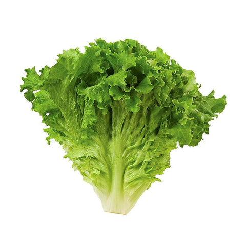 Collection List view left Sidebar